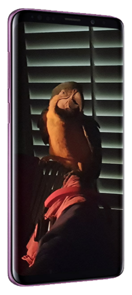 Samsung-galaxy-s9-photo-sombre-3