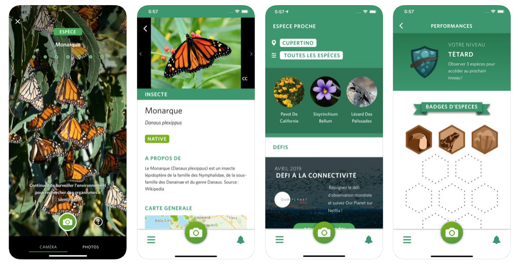 Seek Le Shazam De La Nature Pour Identifier Les Plantes Et Les Animaux Avec Votre Smartphone
